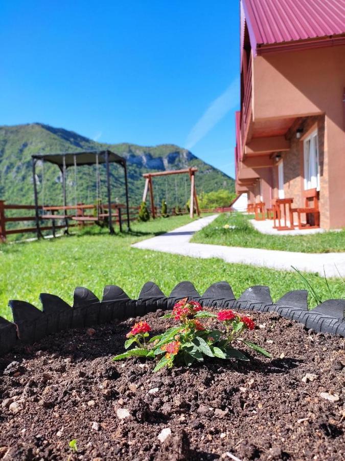 Guesthouse Madzarevic Плужине Экстерьер фото